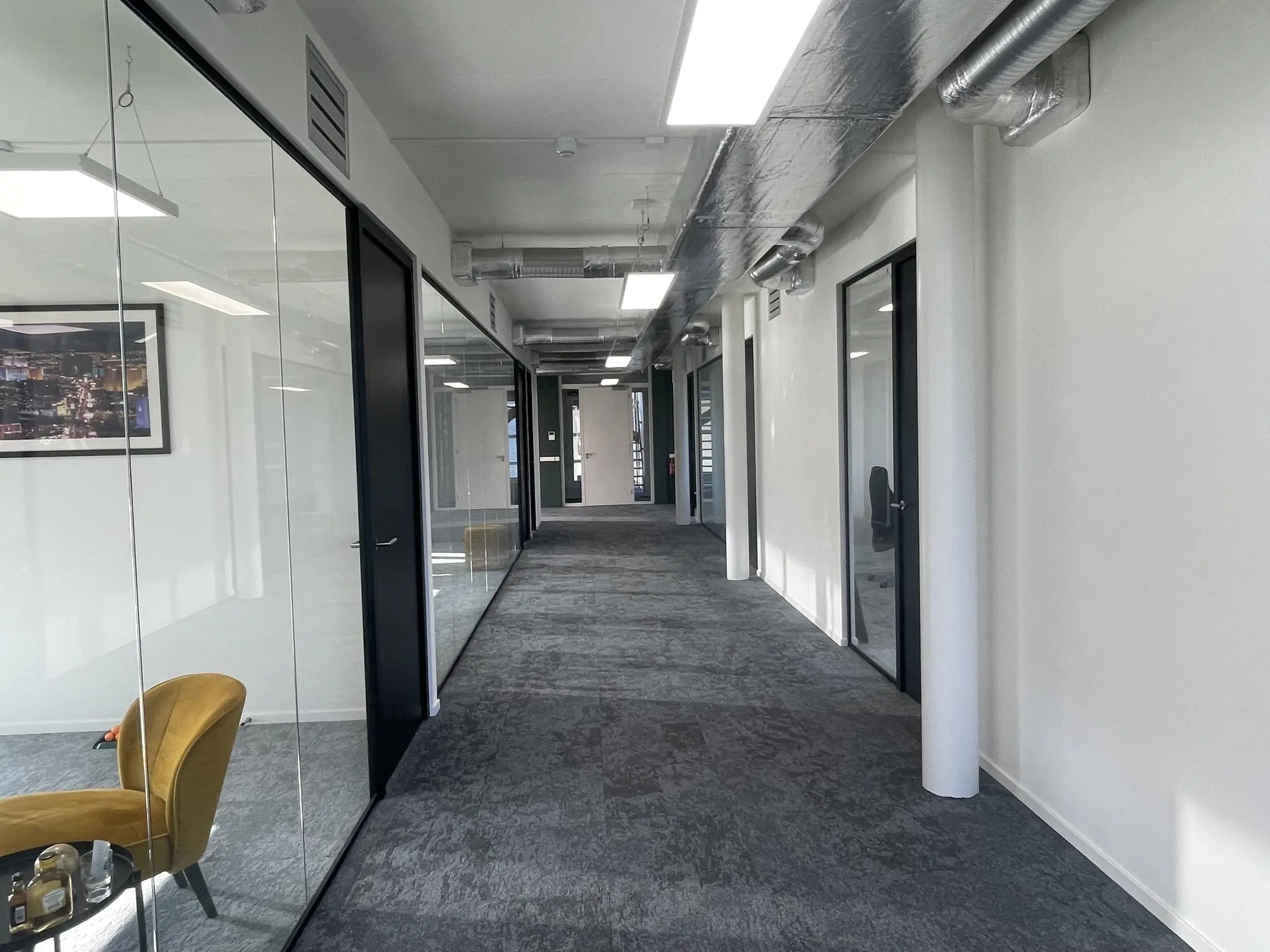 Moderne kantoorhal aan de Jan Leentvaarlaan met glazen wanden en grijze vloerbedekking.